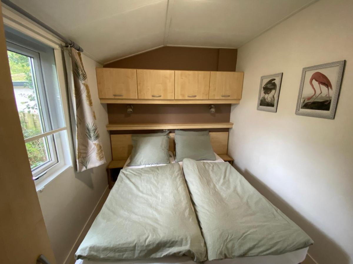 Ruim En Modern Chalet In De Veluwse Bossen Putten Eksteriør bilde