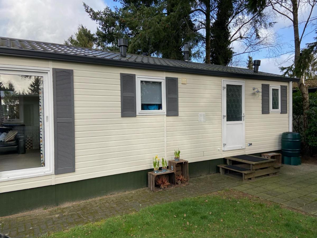 Ruim En Modern Chalet In De Veluwse Bossen Putten Eksteriør bilde