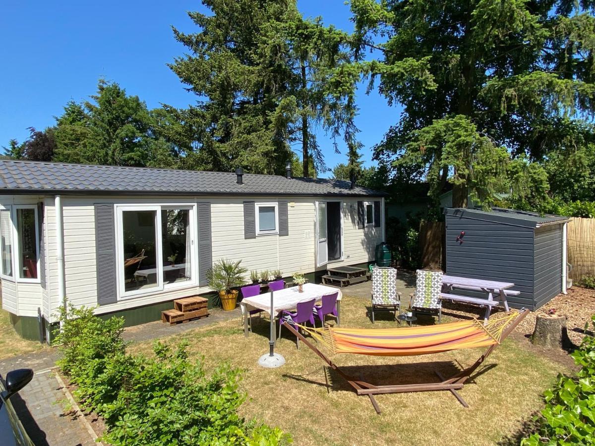 Ruim En Modern Chalet In De Veluwse Bossen Putten Eksteriør bilde